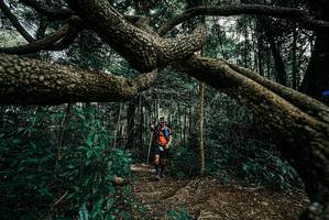 BIB: 
                            <button type="button" onclick="openModal(25705184)" class="btn btn-primary btn-sm float-right btn-popup" data-toggle="modal" data-target=".modal-high-quality">
                        <i class="fas fa-shopping-cart"></i> Add to Cart
                    </button>
                                            <button type="button" onclick="isThisMe(25705184, true)" class="btn btn-success btn-sm float-right btn-popup btn-isme hidden" data-toggle="tooltip" data-placement="bottom" title="นี่คือรูปของคุณใช่ไหม คลิกที่นี่เพื่อเอาเข้าอัลบั้ม">
                        <i class="fas fa-plus"></i> Add to album
                    </button>
                    <button type="button" onclick="isThisMe(25705184, false)" class="btn btn-warning btn-sm float-right btn-popup btn-isnotme hidden">
                        <i class="fas fa-ban"></i> Remove from album
                    </button>